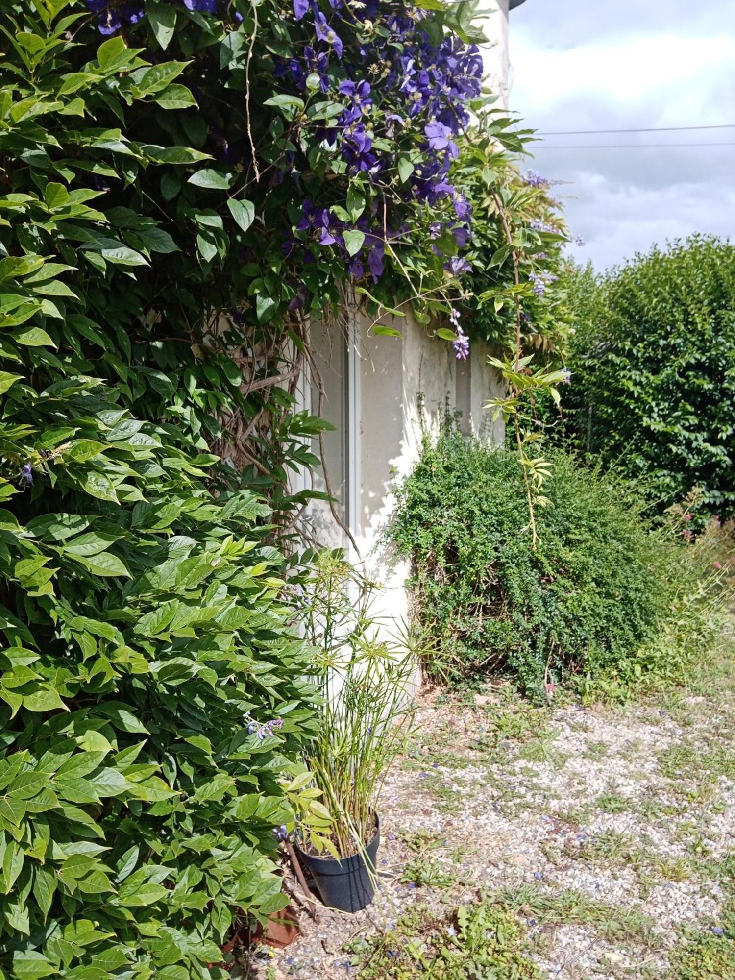Rose Garden Bayeux Bed & Breakfast Екстериор снимка